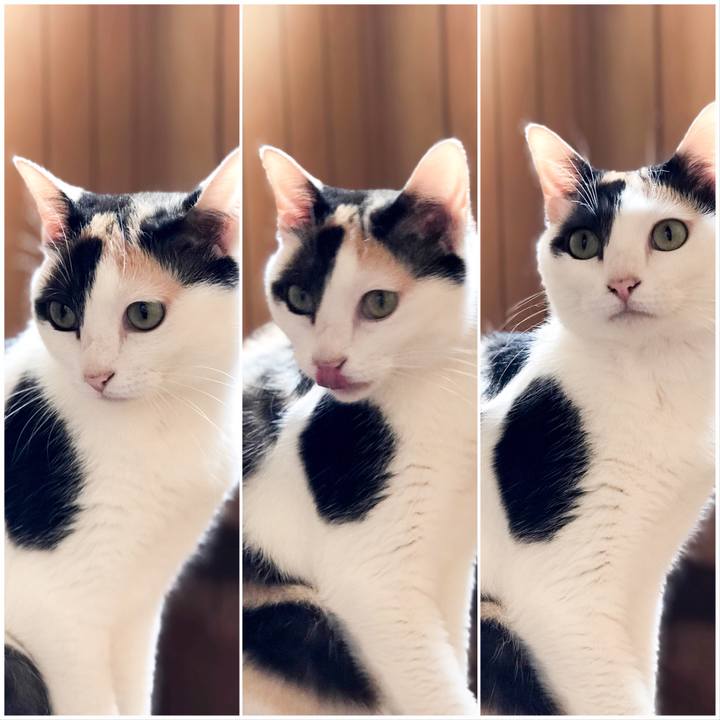 3b99472d 0e47 495f a10d 371568f7e04a 1530712240219