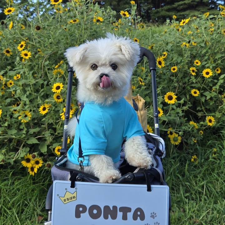 3b997b34 cada 4e93 8687 0d1fe5c4ed77 1758679752228