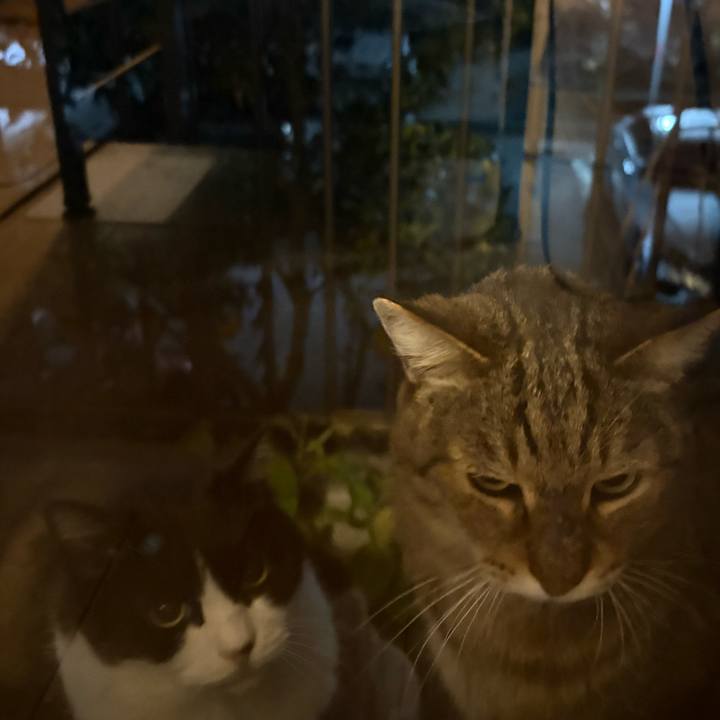 3b99827e e914 4995 ba43 b84451b363d4 1766396370031