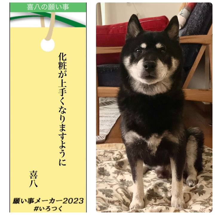 3b99b081 89f8 40cf a7b3 a913c4a5c4de 1688735789331