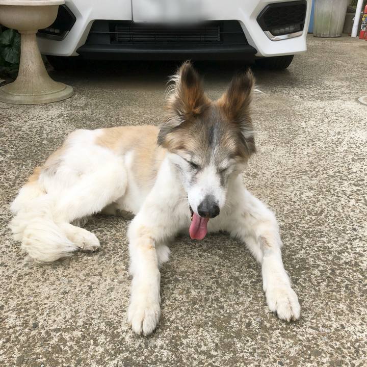 3b99b482 75c7 4aed b25f 79ee35af1a49 1525664620319