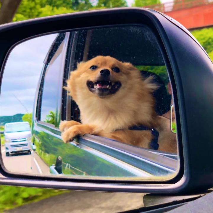 3b99f153 c286 46d6 975e 37214ed6932b 1627469859776