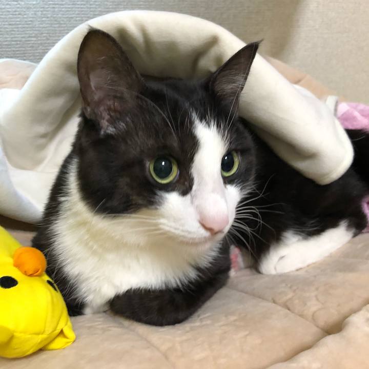 3b9a158c f887 4184 8c31 2765201a7f72 1550789854548