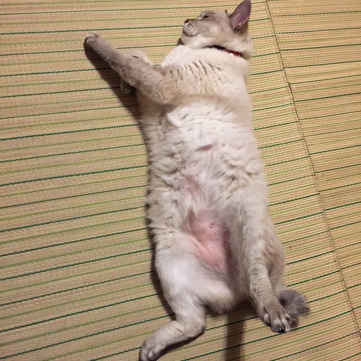 3b9a5dcc d6c3 4917 9b96 dafff3d628a0 1532692009147