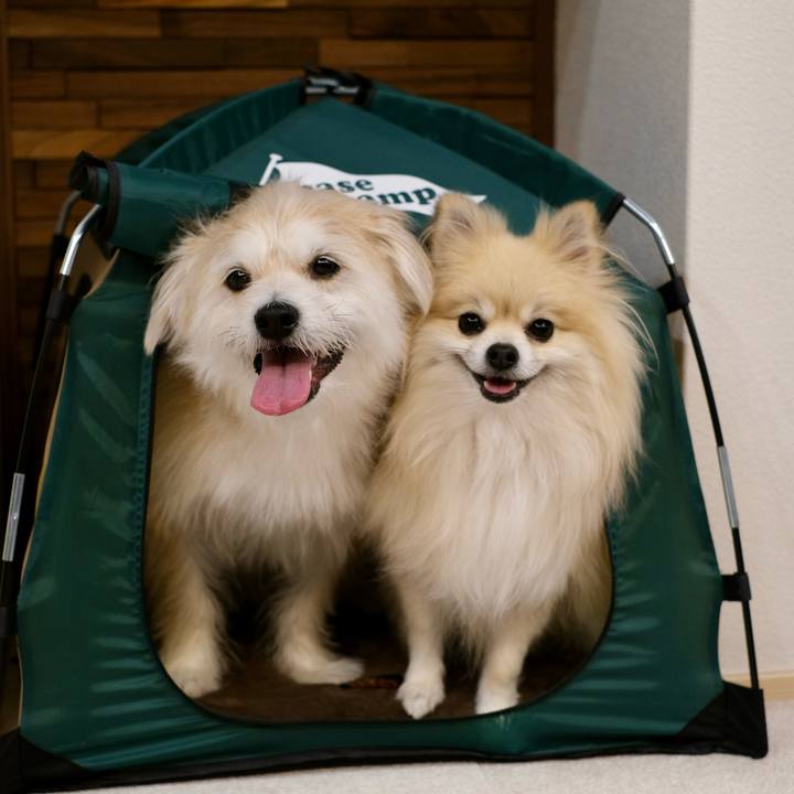 3b9ab3d1 e49c 4bba 97cf 43395dec6509 1764369965983