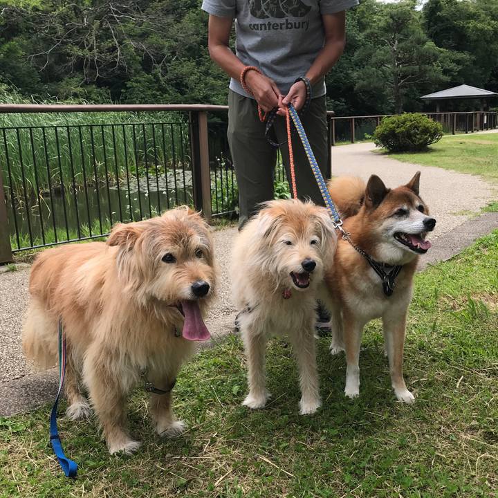 3b9ae3b2 2671 43f3 aa01 c9144a3b7e03 1622452862064