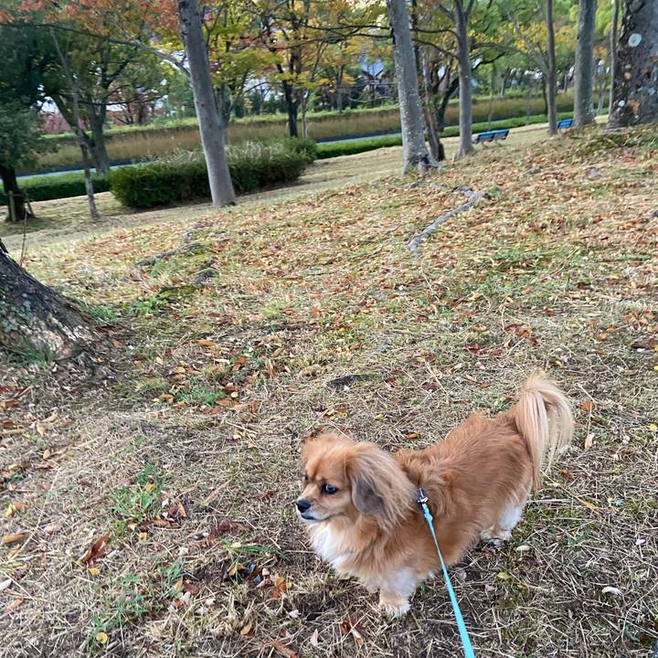 3b9af71b 6a44 4e45 b9ec 82d77d611767 1604441401201