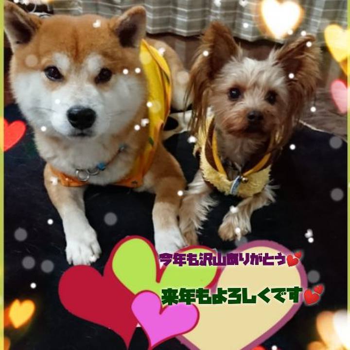 3b9afaa5 191a 4a2f 9b2d ba6979eb2c90 1546258626140