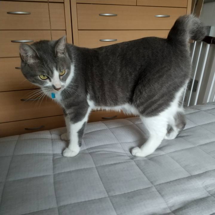 3b9b082f 94ed 4f79 acdc fd371831f389 1624579591808