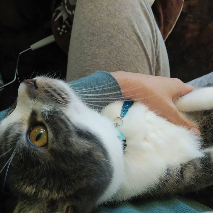 3b9b1b95 cafe 45da 8247 9873c8221217 1574991081017