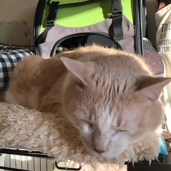 3b9b6337 d19d 4263 8bac 51e59faa35be 1577142058573