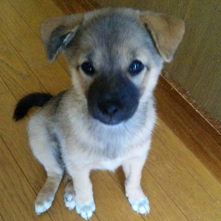 3b9b8aaf 4100 4fe6 bf04 671c7245634c 1615549870317