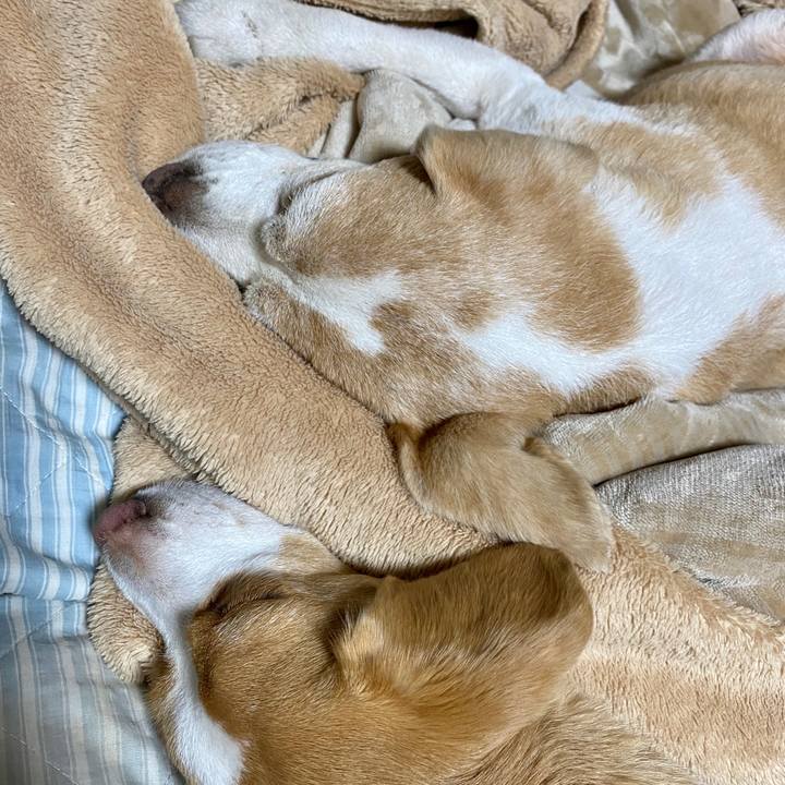 3b9b9e9f 1f10 4d56 a44e 237782ae886a 1591358454294