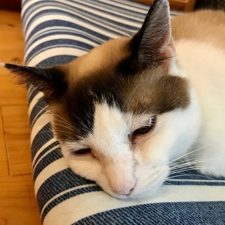 3b9ba8ce 91aa 48cc b50c 1e76790ab2b8 1595485328149