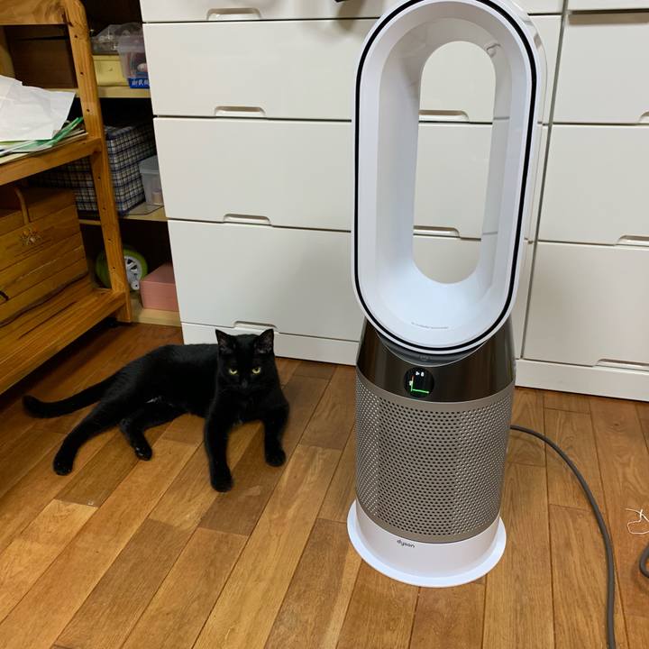 3b9bd413 d6d2 4000 be24 a7db7bfb7b4e 1568892814671