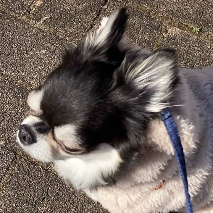 3b9bdddb 364f 4875 96e4 22656d463f59 1674702894112