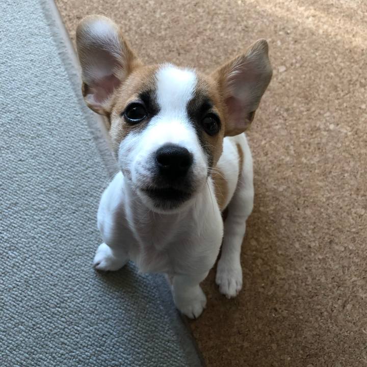 3b9c1946 c0f6 4aba a281 f79035609a44 1545871427522