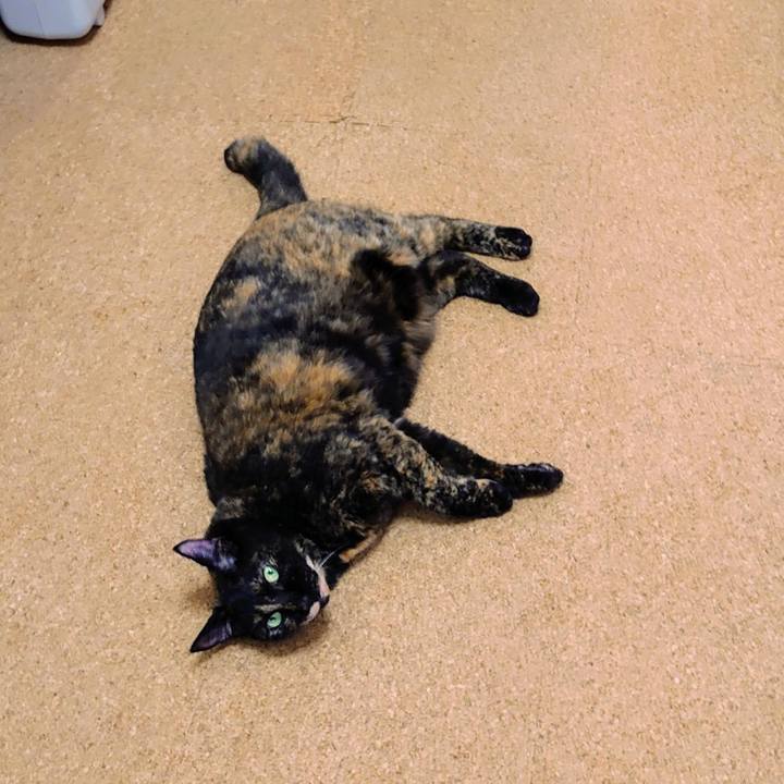 3b9c2c66 7f63 47bb baec f1dca7e1ed98 1759639873226