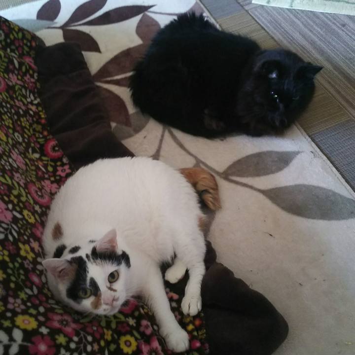 3b9c4eab aa13 42ff ac5d e67e1f5ee222 1548979360511