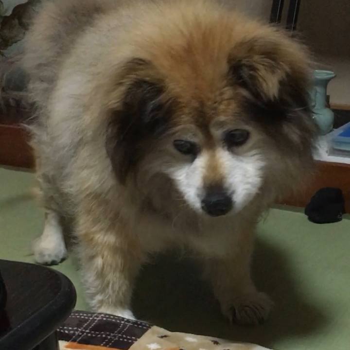 3b9c661b f03b 4f61 a0e8 d36dec4ab8a4 1605056077147