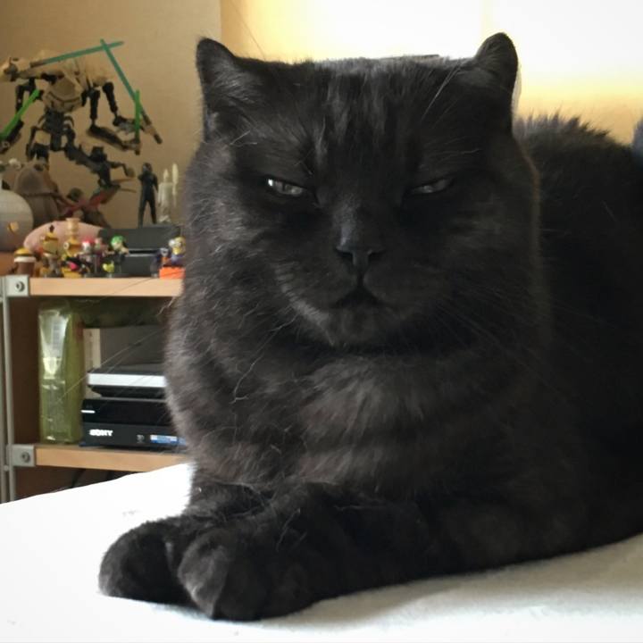 3b9c7001 9490 44ff bcec fd481323e6a6 1532234290106