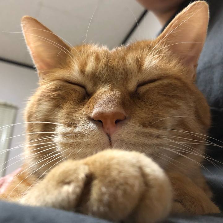 3b9cc255 8af7 4eca a605 463b702c2850 1606551337833