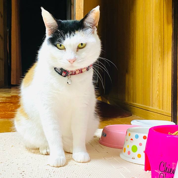 3b9cf701 edcc 4a6b 9185 10ff9086fcf9 1684068471375