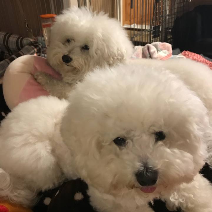 3b9cf867 26cb 4bff b83b 13947cb96fee 1548842555694