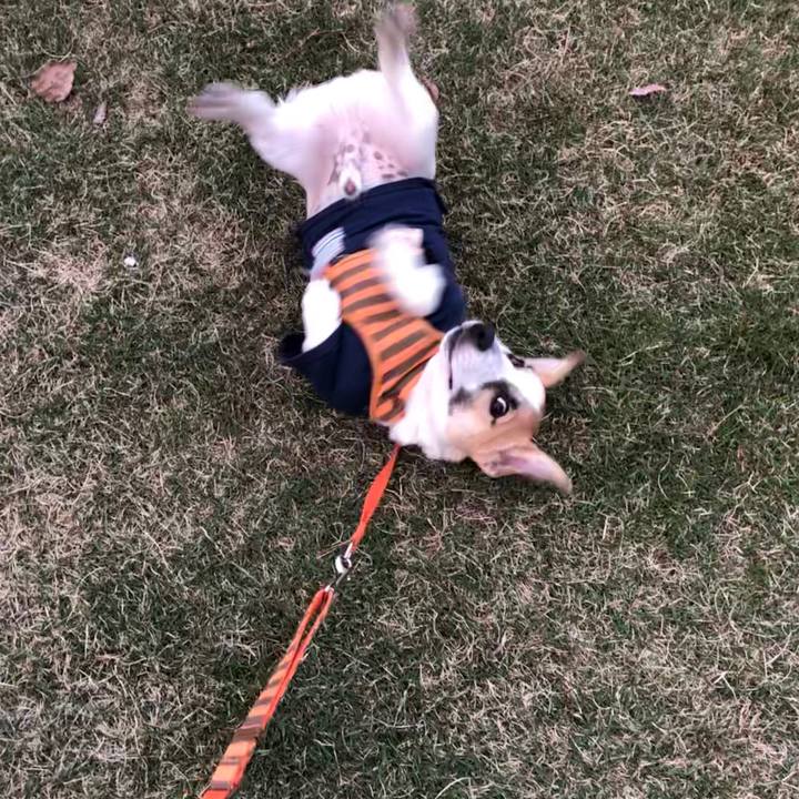 3b9d281c d4cb 4f61 886c ed305e18ea8c 1553820636797