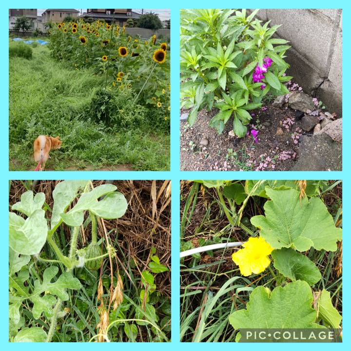 3b9d44db ce76 425b 8491 69187bfb112e 1750903250257