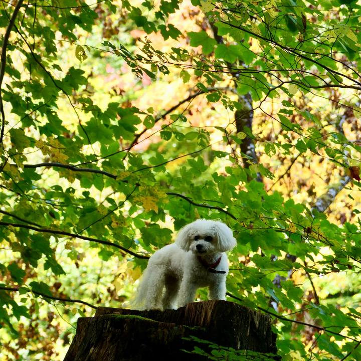 3b9d4afa 6f44 4dda b976 edcc3495ea22 1760996404394