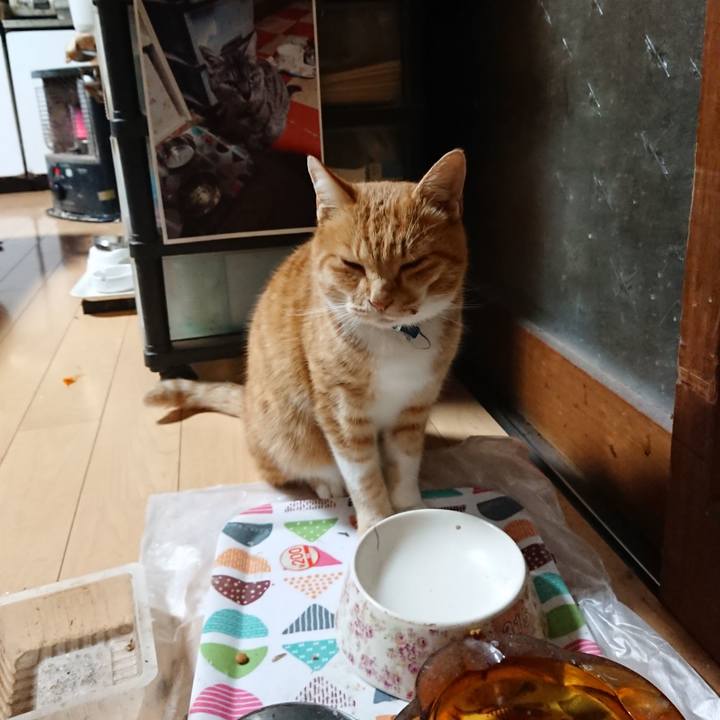 3b9ddafa 5e34 41bb 8ae4 34a39f8a95dc 1605817904772