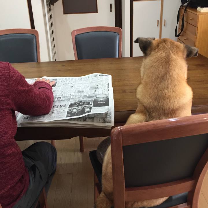 3b9de631 c701 4eb9 84d1 7458a37dd63c 1516922609062