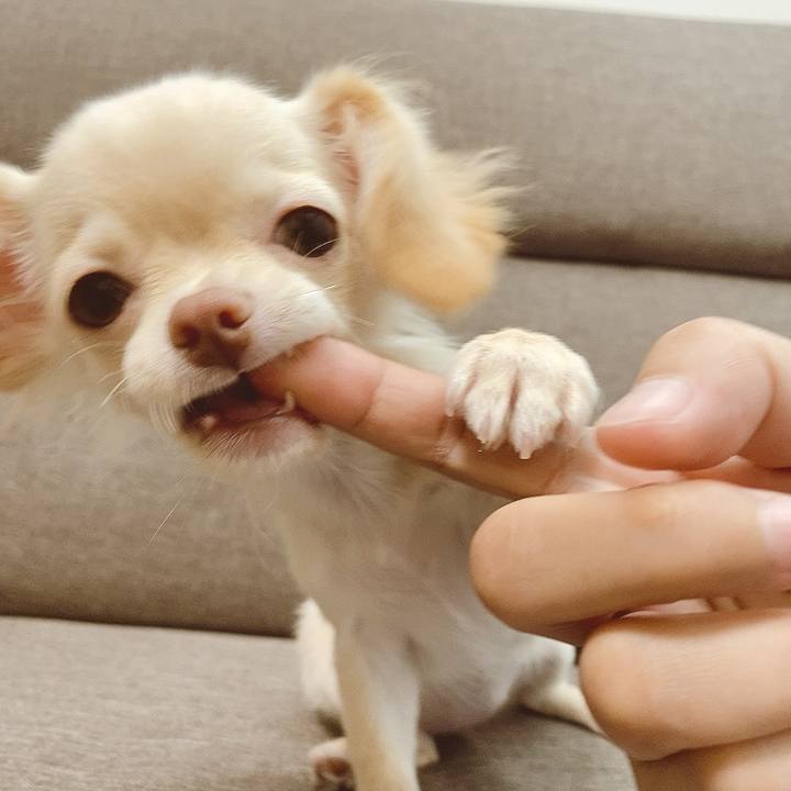 3b9decd2 fb43 4edf 91a6 4b231fb03b9d 1591937081834