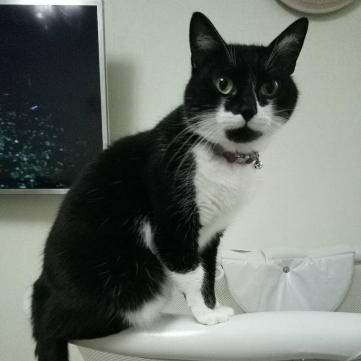 3b9dfd9c f2c7 4b7e a1ca 2b2e691d9c1c 1517159599953