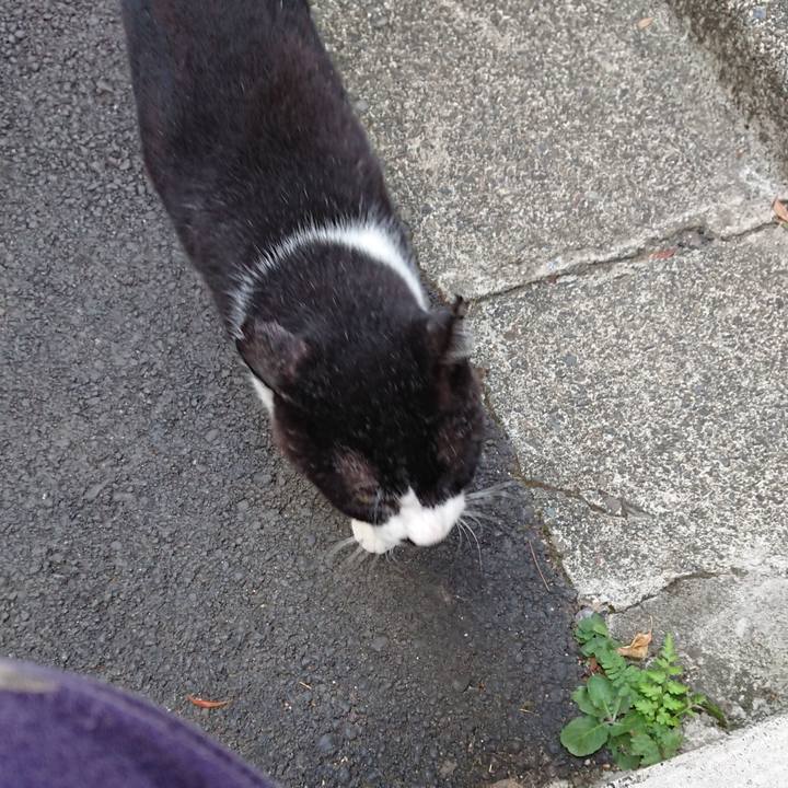 3b9e10f8 53e6 4078 a036 02043ab5afc2 1692660383148