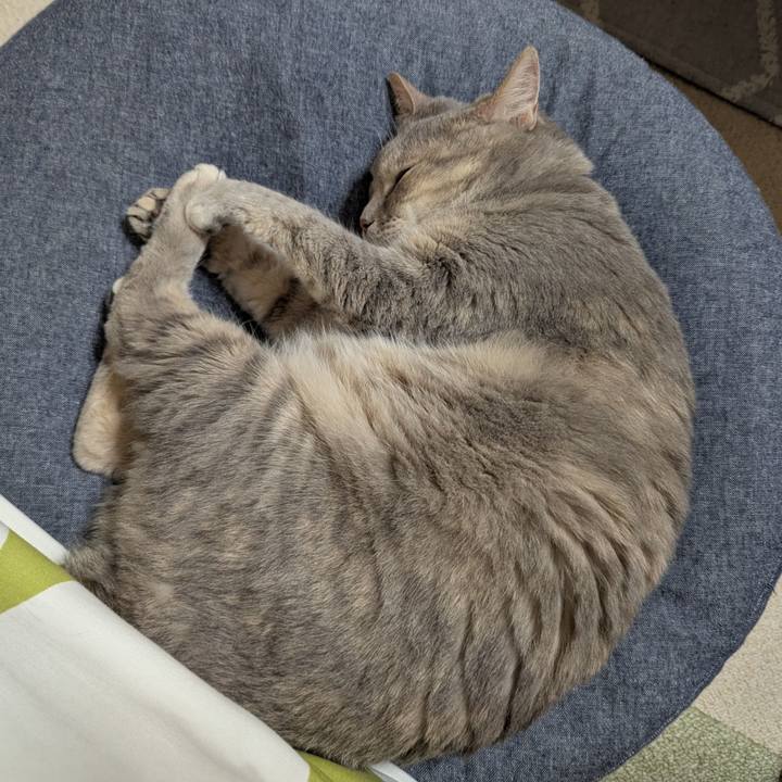 3b9e1442 a98a 4635 8b94 551b31f99f78 1748922852734