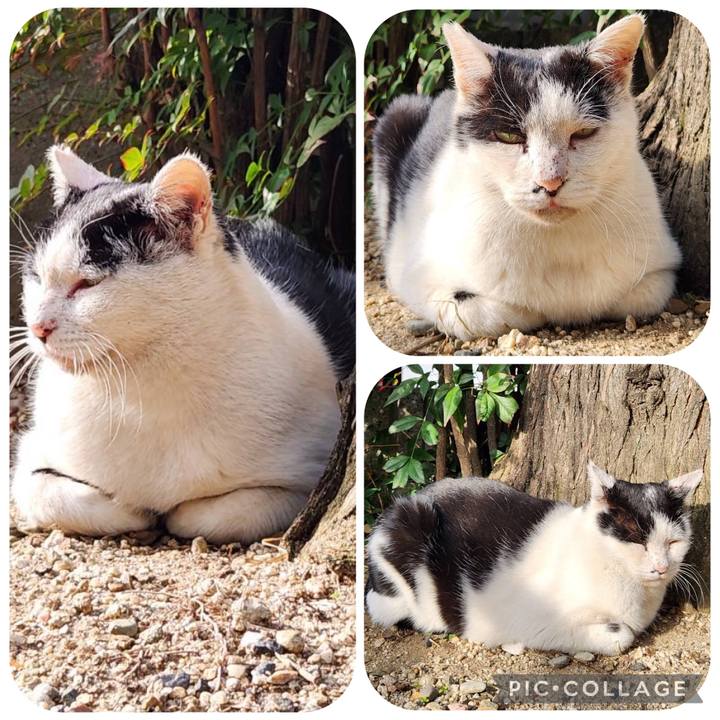 3b9e4703 17a8 4f3d 86ad 4f83e25ef9bb 1764655870640