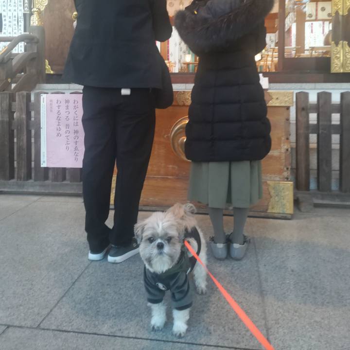 3b9e4d1f 3ac6 4d13 a399 7cfb6c3a3b2d 1767438217999