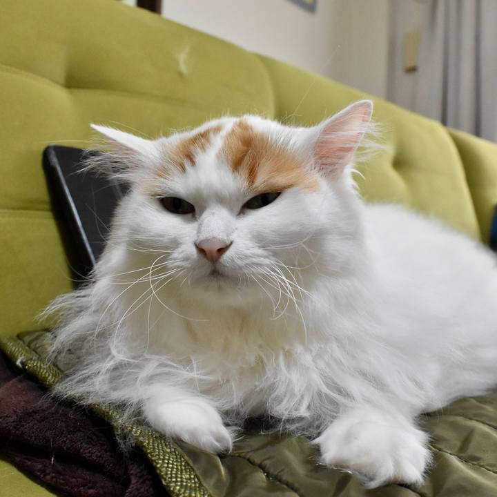 3b9e6d41 fb1e 4fd5 8822 96cb5c9bd5f1 1761536602618