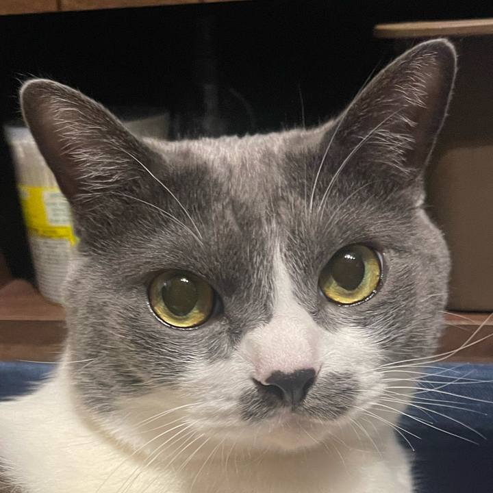 3b9e7859 eddc 4ff4 b6a8 a016aeeab3da 1722346211516