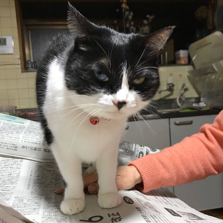 3b9e7b8d 773e 4765 95c9 5ba5af08cb71 1552731501552