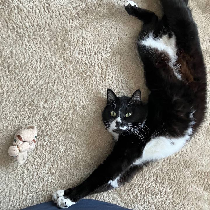 3b9f0127 a02b 4ce5 b9bf aff708562635 1688440778682