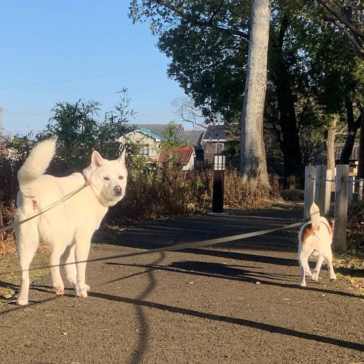 3b9f2d06 5b86 44d8 888f 2c316bea944b 1546353841168