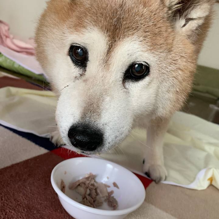 3b9f302d c53d 4cce b9e0 73bb3ed7ac00 1655765301202