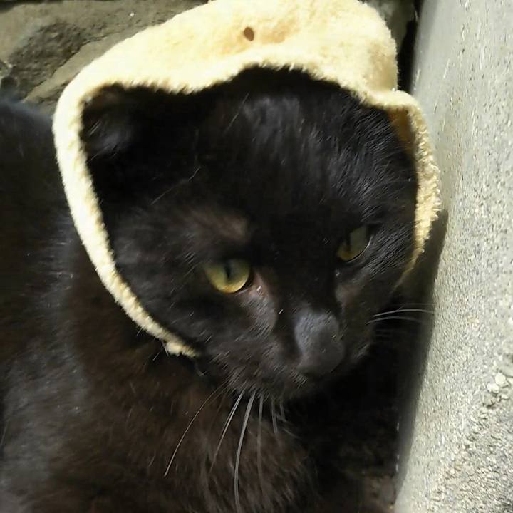 3b9f3483 b2f2 4650 b3e3 fd9fed1800e0 1557028428293