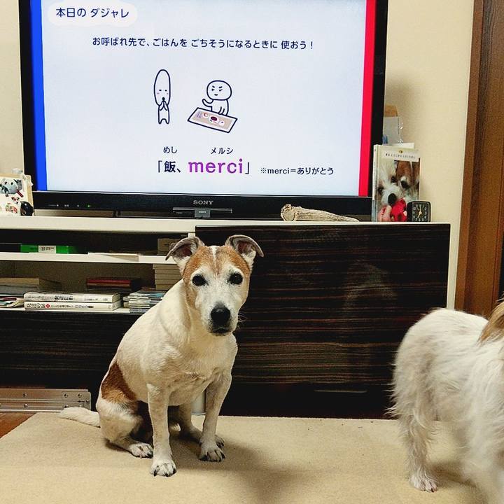 3b9f4eee f513 4985 825d cacb89830043 1574725923086