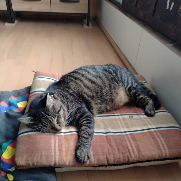 3b9f56c6 14f1 48b5 967f b27e0b45af8a 1663992478766