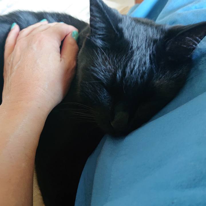 3b9f8ede d476 461b 9880 056e2ac5ef5c 1623903512496