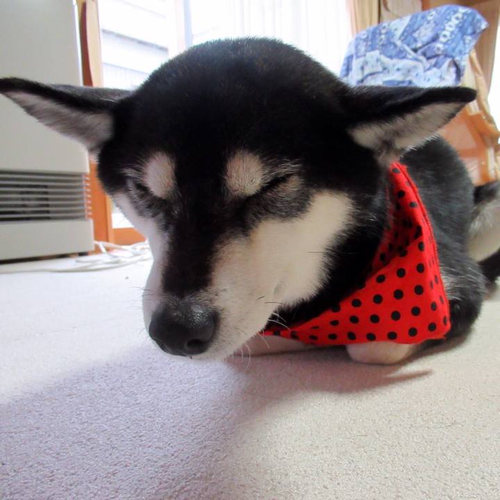 3b9f9675 7671 4187 9829 0cc03b38a94b 1577333118954